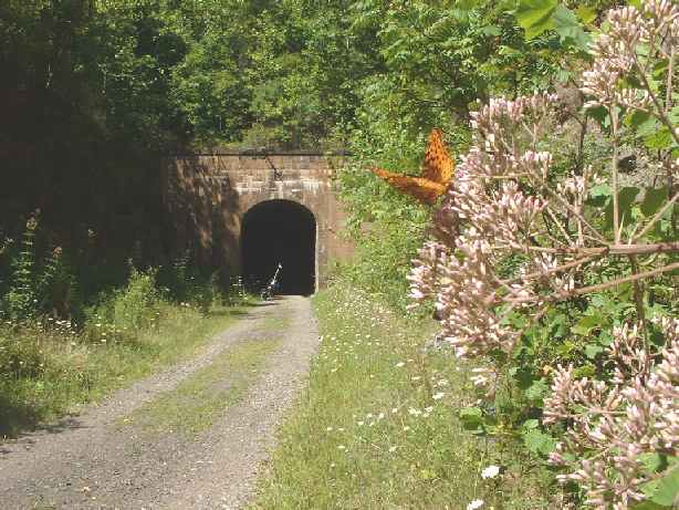 Tunnel Visitor